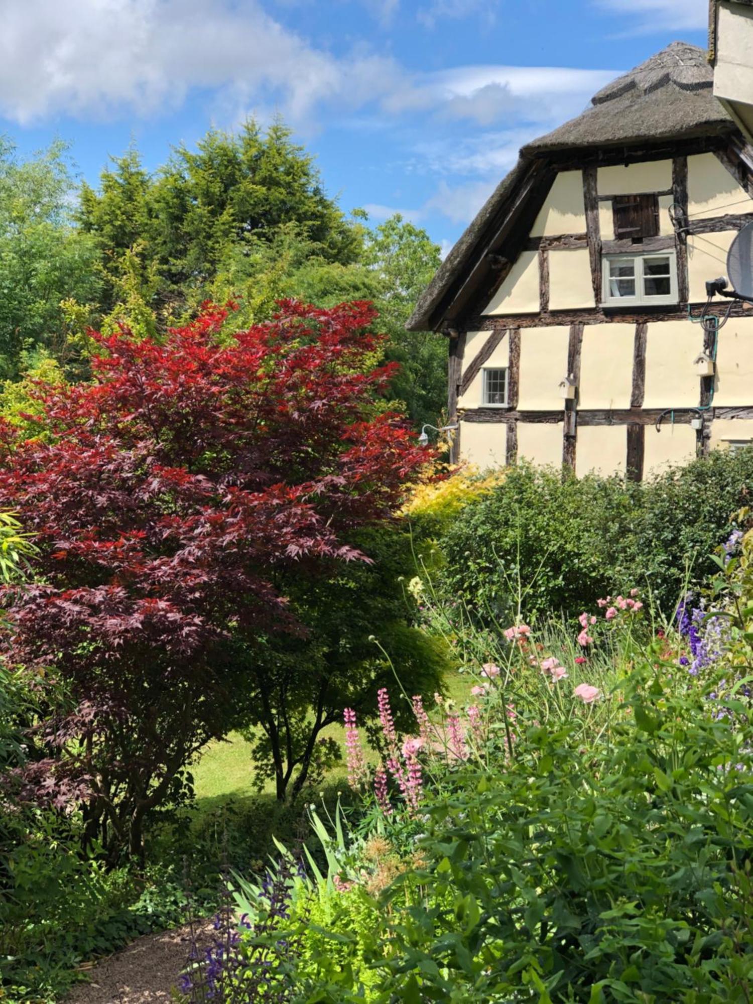 The Steppes Holiday Cottages เฮริฟอร์ด ภายนอก รูปภาพ