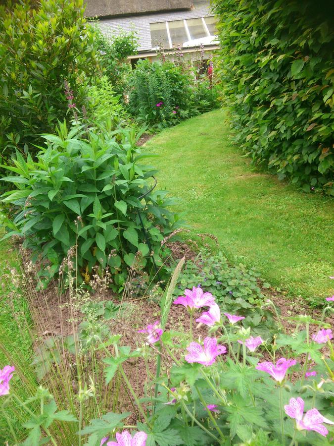 The Steppes Holiday Cottages เฮริฟอร์ด ภายนอก รูปภาพ